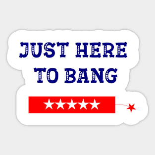 Funny Fourth of July 4th of July I'm Just Here To Bang Sticker